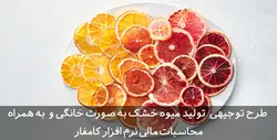دانلود طرح توجیهی میوه خشک و چیپس میوه Word - 1400 | تسکوشاپ