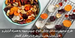 دانلود جامع ترین طرح توجیهی چیپس میوه به صورت خانگی| تسکوشاپ