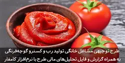 دانلود طرح توجیهی رب گوجه فرنگی | کنسرو گوجه فرنگی | تسکوشاپ