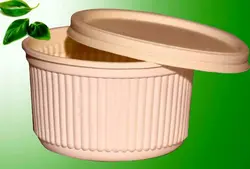 دانلود رایگان طرح توجیهی ظروف یکبار مصرف گیاهی (تجزیه پذیر)PDF|تسکوشاپ