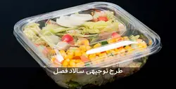 دانلود طرح توجیهی سالاد فصل | تسکوشاپ