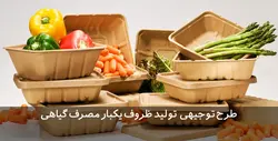 دانلود طرح توجیهی ظروف یکبار مصرف گیاهی | تسکوشاپ