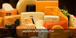دانلود طرح توجیهی تولید مایه پنیر | تسکوشاپ
