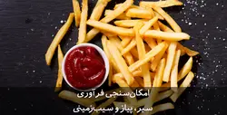 دانلود رایگان طرح توجیهی فرآوری سیر، پیاز و سیب زمینی (فرنچ فرایز)PDF|تسکوشاپ