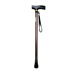 عصا تک پایه brio