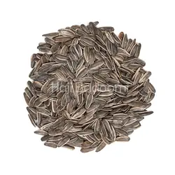 تخمه آفتابگردان دور سفید خام