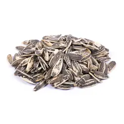 تخمه آفتابگردان برشته دور سفید