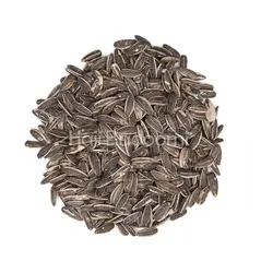 تخمه آفتابگردان دور سفید شور