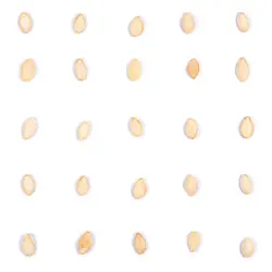 تخمه کدو گوشتی برشته دو آتشه