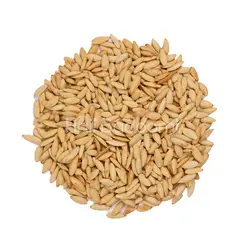 تخمه کدو مشهدی شور اعلا