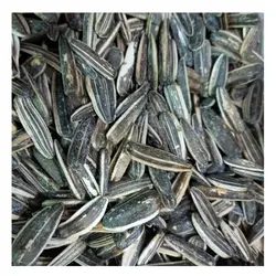 تخمه سنقری_بسته یک کیلویی