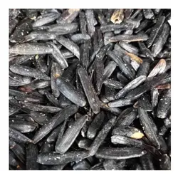 تخمه آفتابگردان شمشیری خوی