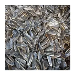 تخمه آفتابگردان جوشانده (آبپز)