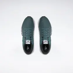 کفش مردانه ریباک مدل Reebok Schuhe Astroride Trail 2.0 100033223
