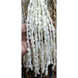 ریسه سنگ صدف | تهران استون گالری