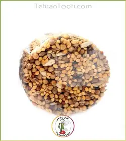 اسنک عسلی طوطی لقمه ای