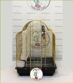 قفس ۱۶۱ طلایی، سفید و مشکی