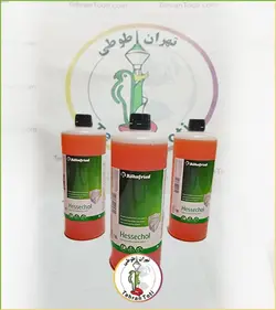کبد شور هساکول رانفرید آلمان