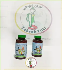 ب کمپلکس پرندگان نکتون