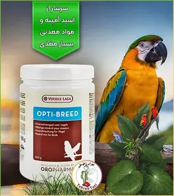 اپتی برد ورسلاگا