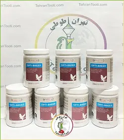 اپتی برد ورسلاگا