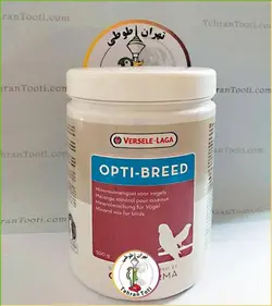 اپتی برد ورسلاگا