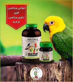 نکتون کیو اصل