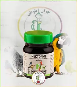 نکتون کیو اصل