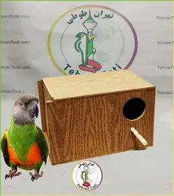 لانه چوبی برای پرندگان متوسط جثه