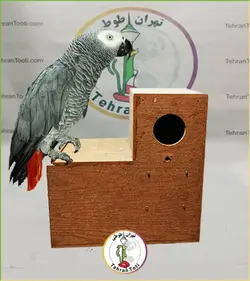 لانه چوبی برای پرندگان بزرگ جثه
