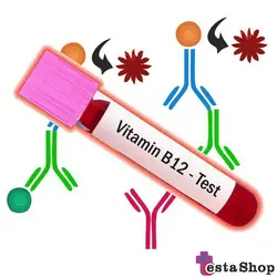 کیت ویتامین ب12 الایزا | آزمایش ویتامین ب12