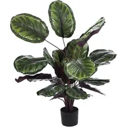 گلدان گیاه مصنوعی مدل CALATHEA رنگ سبز کد 657795