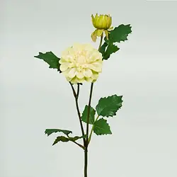 شاخه گل مدل DHALIA رنگ سبز اندازه h42cm کد 17722