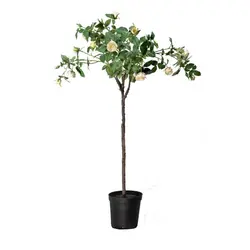 گلدان گیاه مصنوعی مدل ROSE رنگ کرم اندازه h120cm کد 596833