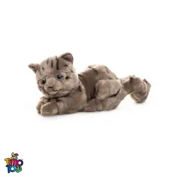 عروسک گربه میلو للی ایتالیا