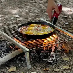 منقل مسافرتی و کباب پز آریامن