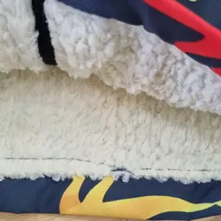 کاپشن اسپرت دایناسور