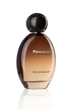 عطر زنانه دیوید واکر اورجینال David Walker | FEMINEN COLURFUL.001