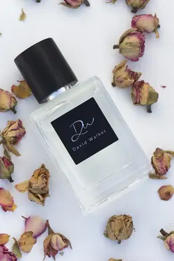 عطر زنانه دیوید واکر اورجینال David Walker | LBE-AMELIA-50