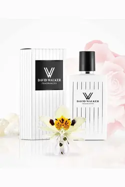 عطر زنانه دیوید واکر اورجینال David Walker | B-173 DW 50