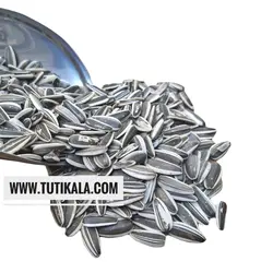 تخمه طوطیسانان