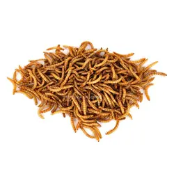 میلورم (لارو خشک شده)