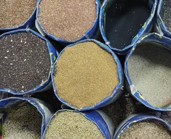 کتان سیاه – نیجر (۵۰۰ گرم)