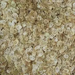 گلپر ایرانی ( ۲۰۰ گرم )