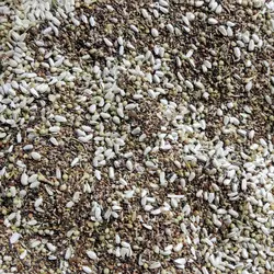 هفت تخم قناری ( مخلوط قناری ) – طبع معتدل
