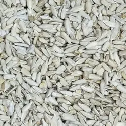 مغز تخمه آفتابگردان متوسط