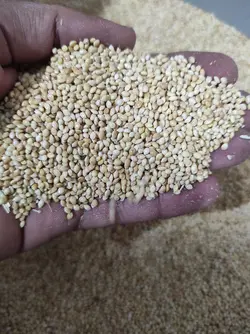 ارزن بیرجندی ( ۱۰ کیلو )