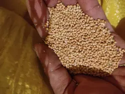 ارزن گناباد (۳۰kg)