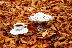 نقل گردویی ویژه