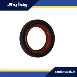 کاسه نمد پلوس بزرگ پژو 405